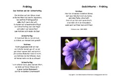 Veilchen-Schmetterling-Lenau.pdf